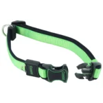 Inspire Adjustable Dog Collar Green - Image 3