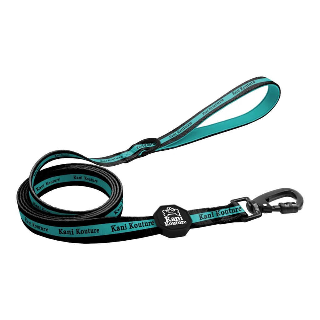 2026/01/1000115131.jpg Tiffany Twilight Leash - Image 1