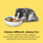 Kaytee Fiesta Max Hamster & Gerbil 2.5lb - Image 4