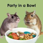 Kaytee Fiesta Max Hamster & Gerbil 2.5lb - Image 7