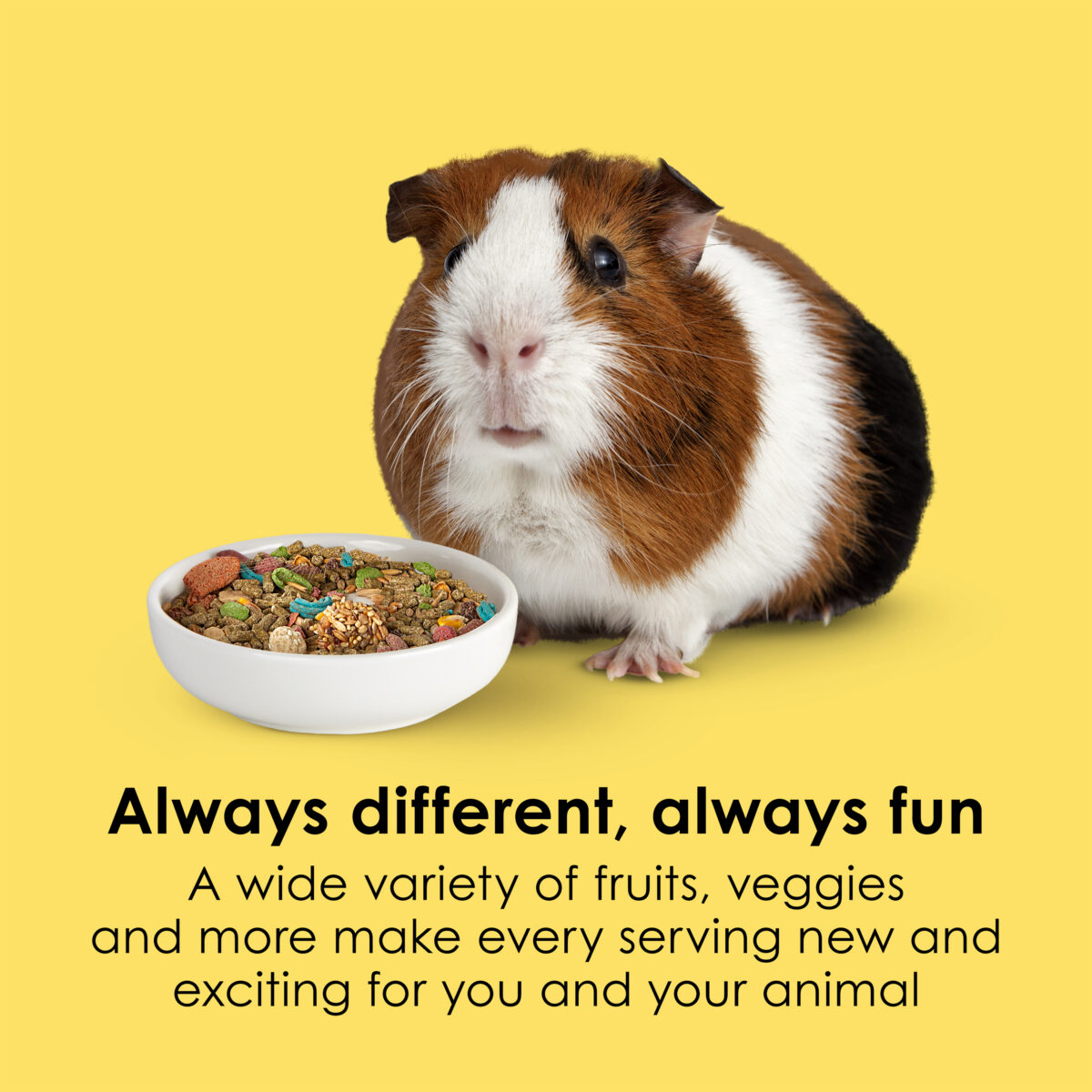 Kaytee Fiesta Guinea Pig Food, 2.5lb bag - Image 4