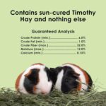 Kaytee All Natural Timothy Hay Mini Bale, 24-Oz - Image 9