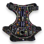 Skully Party - Adventure Harness - Image 4