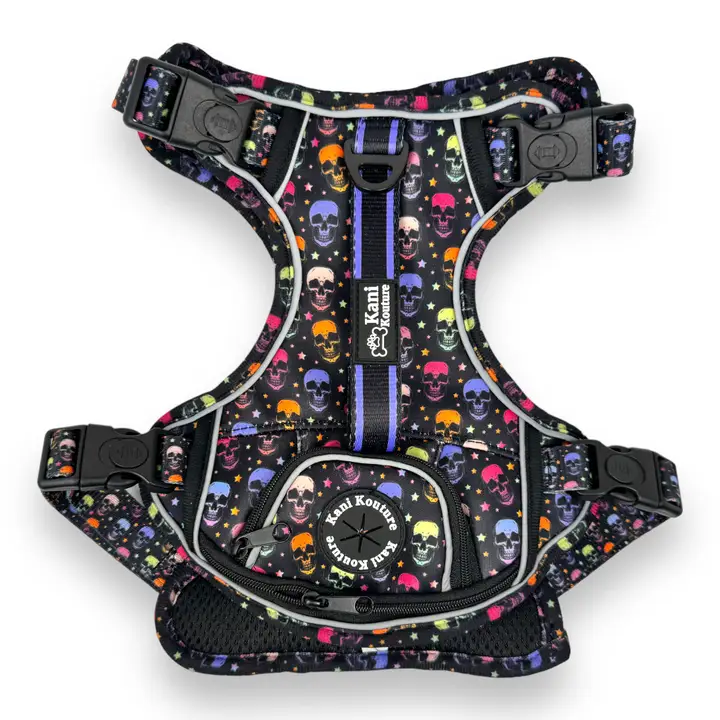 b4d9788d4c423173e063a93e673048afc0b91114c9afc8a47f242a093c0a1867 Skully Party - Adventure Harness - Image 1