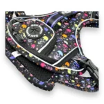 Skully Party - Adventure Harness - Image 3