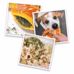 Doggijuana - Image 4