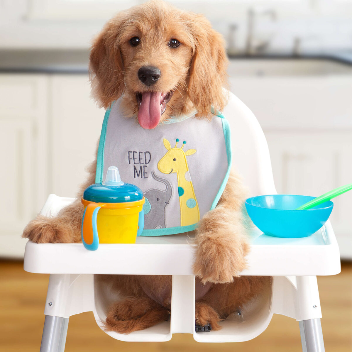 Puppy Gold Dog Food - Image 3