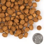 Fromm Large Breed Puppy Gold - Image 6