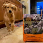 Taste of the Wild High Prairie Puppy Recipe with Roasted Bison & Roasted Venison - Image 11