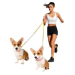 Loofie Handsfree Dog Leash - Image 7