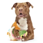 Bark Brooke Trout Plush Dog Toy - Image 2