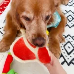 Ham Dog Toy - Image 4