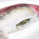 Meowijuana Get Smoked Fish Cat Toy - Image 3