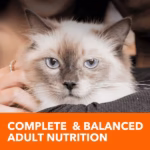 Iams Proactive Heath Hairball Care - Image 4
