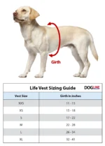 Dog Life Vest Flotation Device - Image 3
