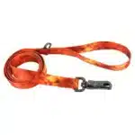 Blazing Shards Inspire Fashion Dog Leash