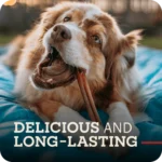 Redbarn Bully Stick - Image 3