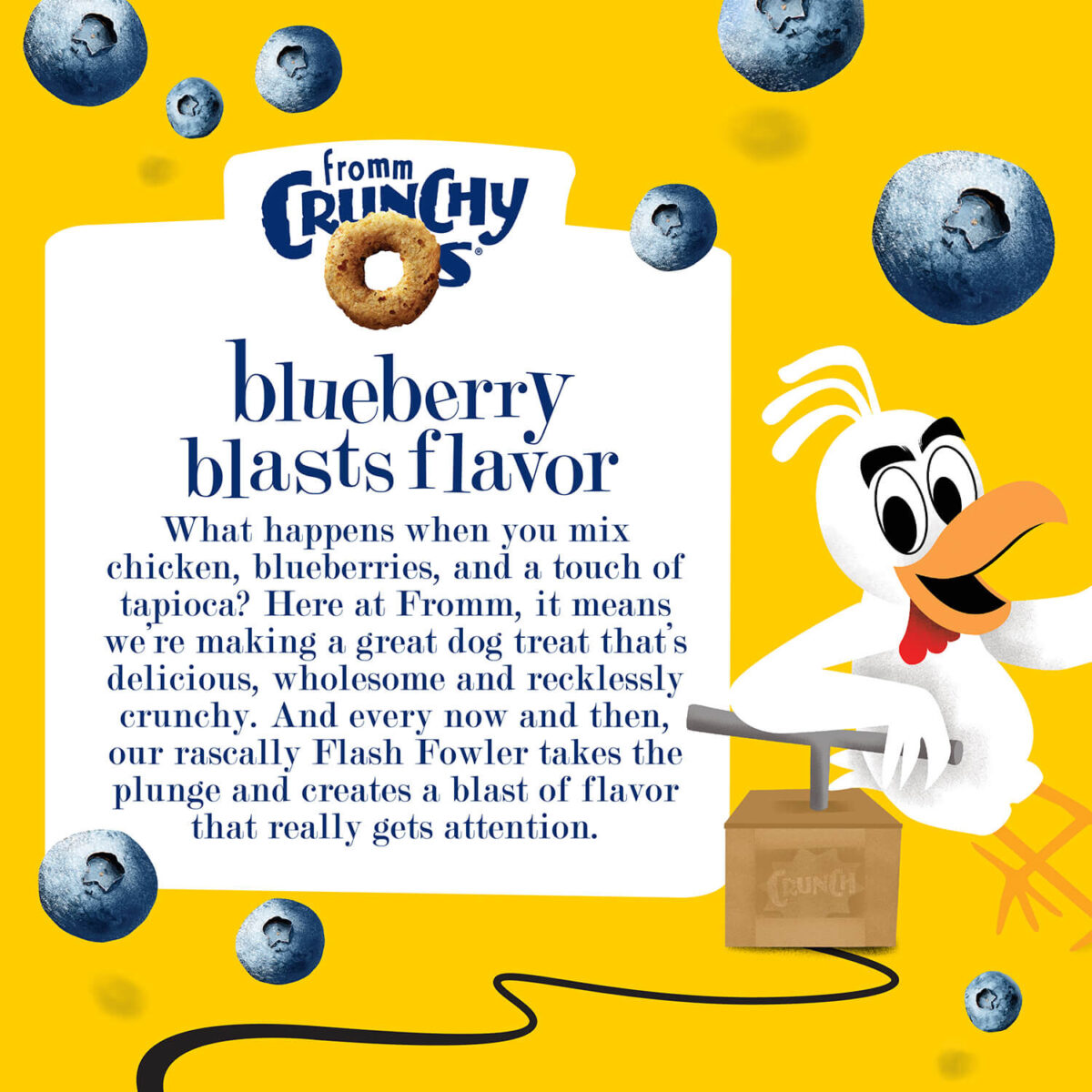 Fromm Crunchy Os Blueberry Blasts Flavor Dog Treats - Image 7