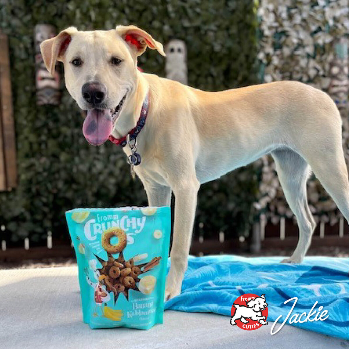 Crunchy Os Banana Kablammas® Flavor Dog Treats - Image 3