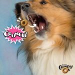 Crunchy Os Slammon Smoked Salmon - Image 11
