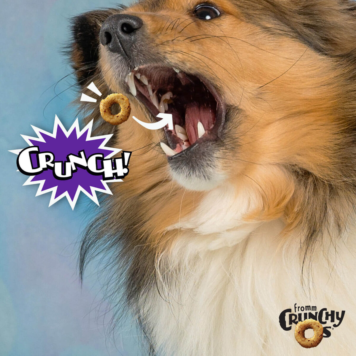 Fromm Crunchy Os Smokin' CheesePlosions™ Flavor Dog Treats - Image 5