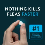 CAPSTAR® (nitenpyram) Oral Flea Treatment for Dogs - 6 Doses - Image 3