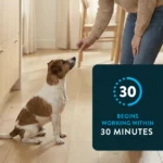 CAPSTAR® (nitenpyram) Oral Flea Treatment for Dogs - 6 Doses - Image 4