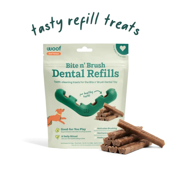 Bite n' Brush Dental Refills Beef Recipe