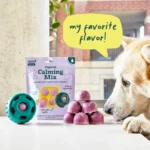 Pupsicle Mix Sample Pack - Image 8