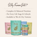 Gold Adult Chicken, Duck, & Salmon Pâté Wet Cat Food 3oz Can - Image 5