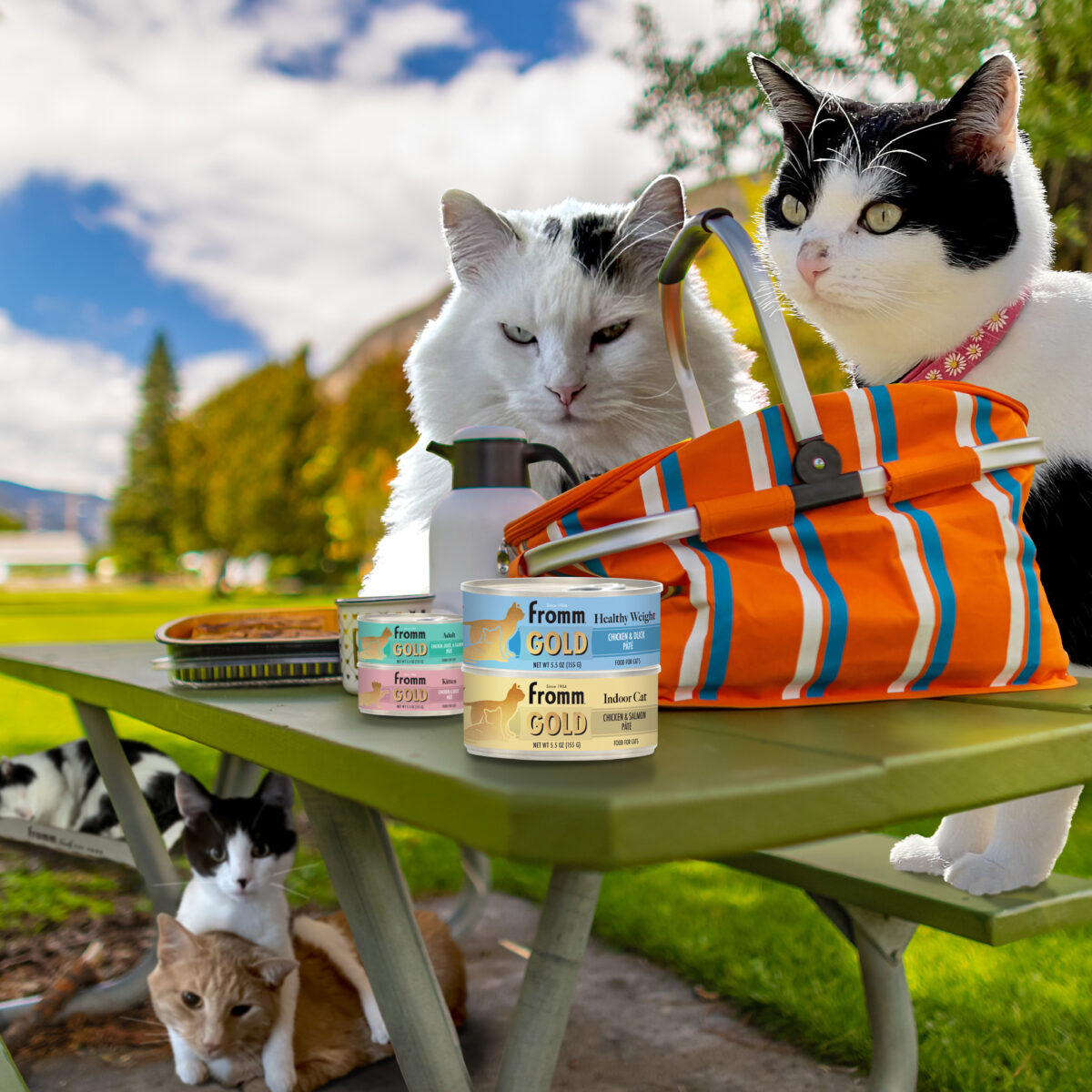Gold Kitten Chicken & Duck Pâté Wet Cat Food - Image 8