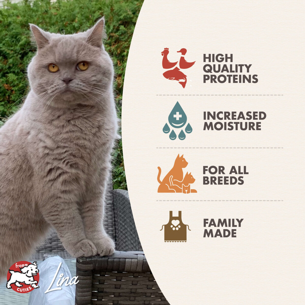 Gold Adult Chicken, Duck, & Salmon Pâté Wet Cat Food 3oz Can - Image 3