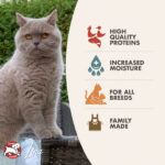 Gold Adult Chicken, Duck, & Salmon Pâté Wet Cat Food 3oz Can - Image 3