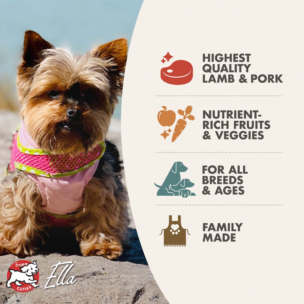 Four-Star Lamb & Lentil Recipe Dry Dog Food - Image 4