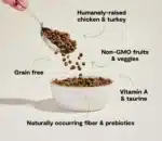 Chicken & Turkey Grain-Free Kitten Kibble - Image 3