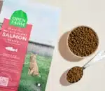 Wild-Caught Salmon Grain-Free Cat Kibble - Image 2