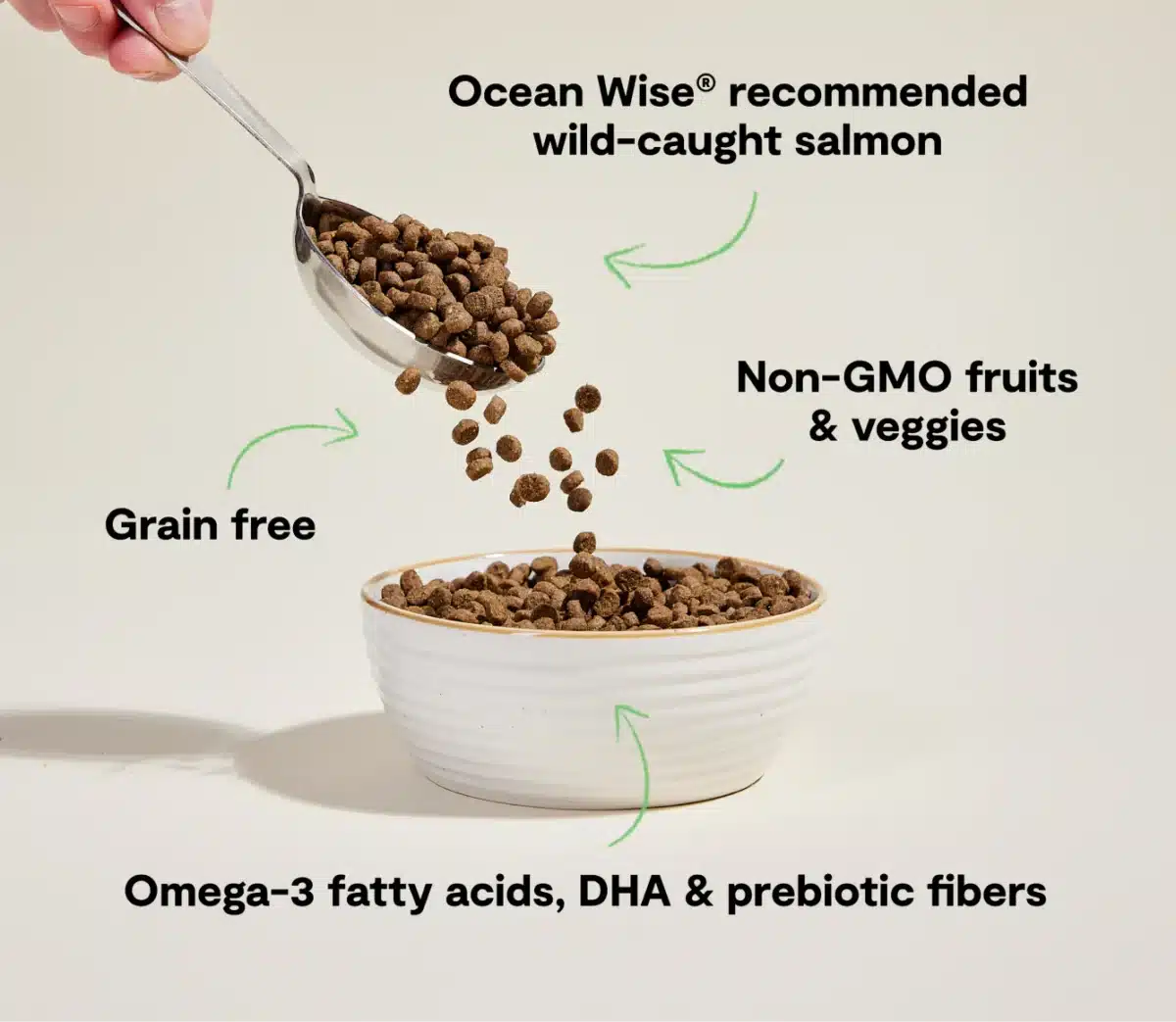 Wild-Caught Salmon Grain-Free Cat Kibble - Image 3