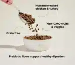 Homestead Turkey & Chicken Grain-Free Cat Kibble - Image 3