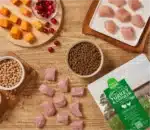 Homestead Turkey & Chicken Grain-Free Cat Kibble - Image 4