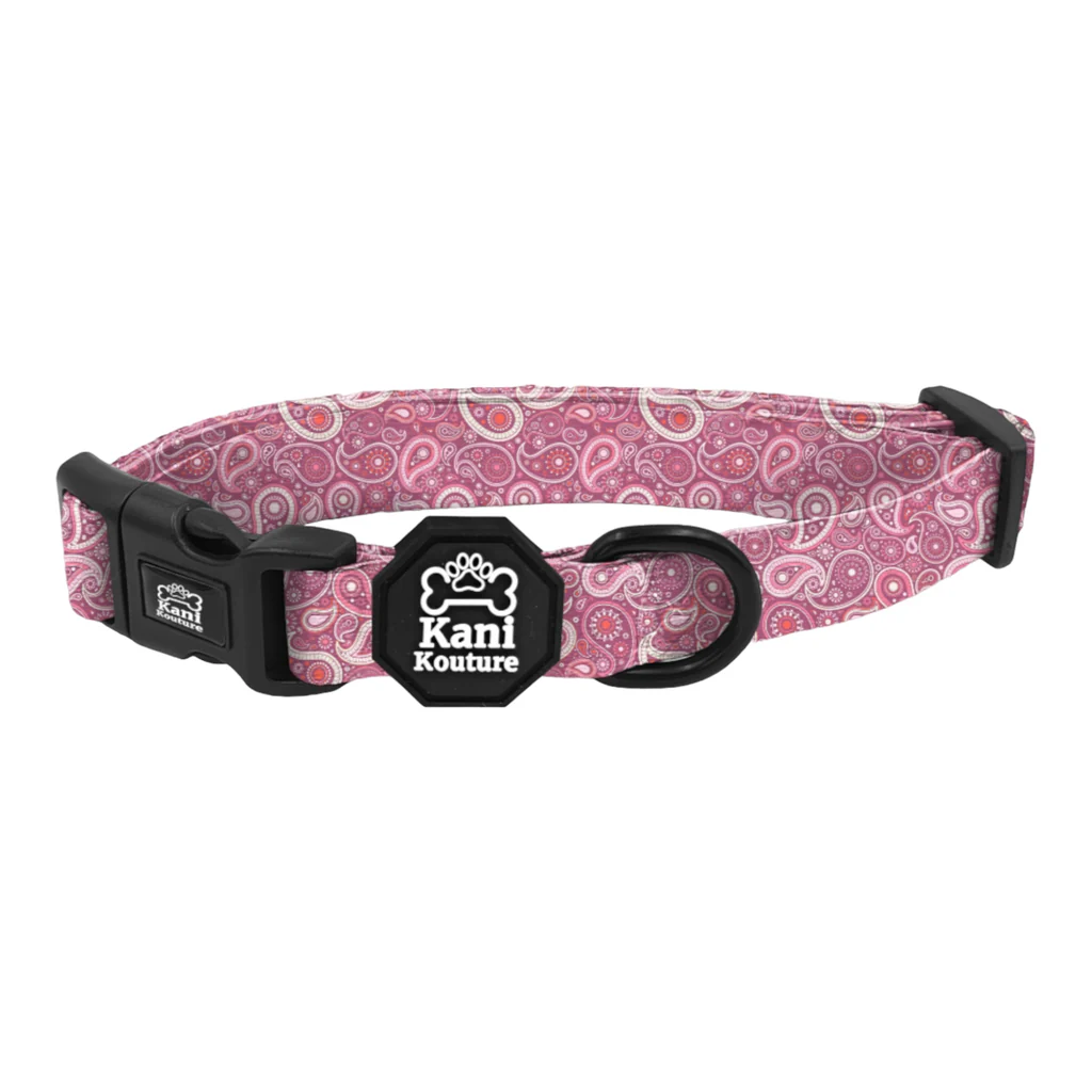 PhotoRoom_018_20230701_103621_1024x1024 Pink Paisley - Adjustable Collar - Image 1