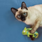 Kong Refillables Chameleon Cat Toy - Image 3