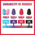 Kong Goodie Bone - Image 5
