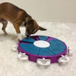 Twister Interactive Treat Dog Puzzle Toy Purple Level 3 - Image 2