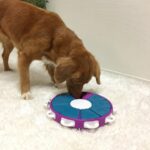 Twister Interactive Treat Dog Puzzle Toy Purple Level 3 - Image 3
