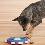 Twister Interactive Treat Dog Puzzle Toy Purple Level 3 - Image 4
