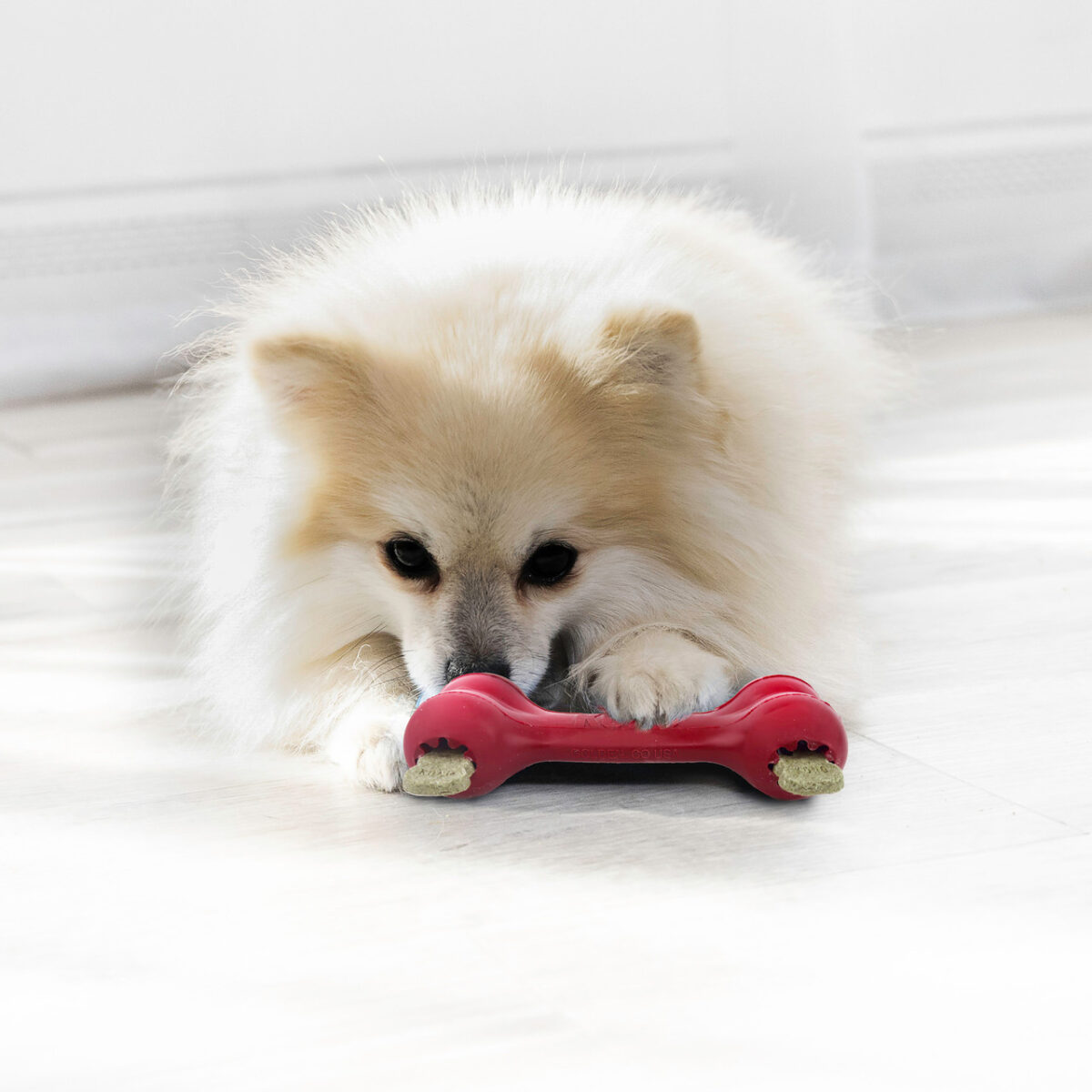 Kong Goodie Bone - Image 2