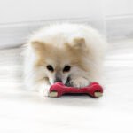 Kong Goodie Bone - Image 2