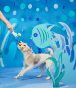 Hammerin’ Hank the Shark - Image 2