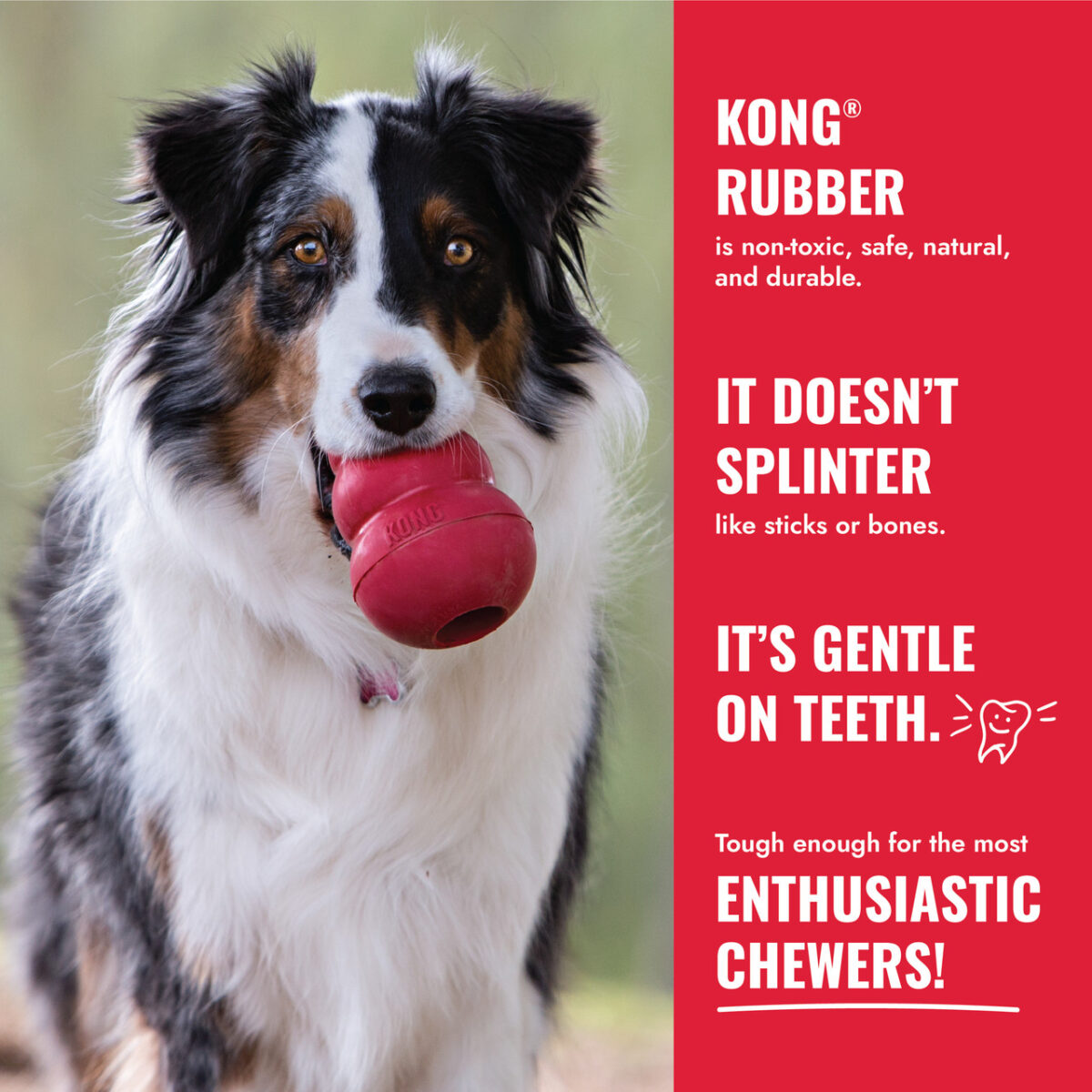 Kong Goodie Bone - Image 6