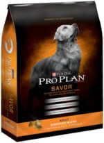 Purina Pro Plan Complete Essentials Shredded Blend Chicken and Rice Dry Dog Food Formula with Probiotics for Dogs